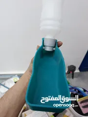  20 إكسسوارات قطط مستعملة بحالة الوكالة