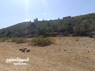  2 ارض مميزة للبيع