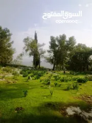  2 1000 متر مربع في اكتابا للبيع