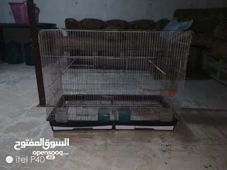  1 مطير للبيع