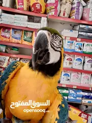  8 نشتري منك بأحسن الأسعار اقرأ الوصف صديقي