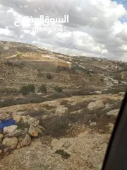  2 أرض للبيع من المالك مباشرة الخليل دورا