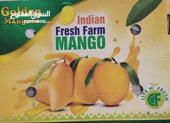  2 Indian Alphonso Mango
