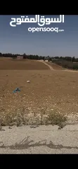  4 قطعة ارض زراعي وتصلح سكني داخل التنظيم قوشان مستقل مساحه 7557 متر مربع في مأدبا (ذيبان) واجهة 32 متر