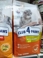  5 club 4 paws