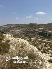  5 دونم للبيع بسعر مغري في بيت امرين قريب جدا من الخدمات و البناء