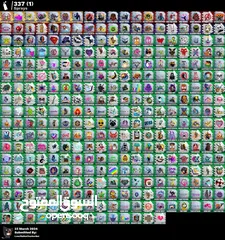  8 حساب من سيزون 7فيه قريي ال 500سكن