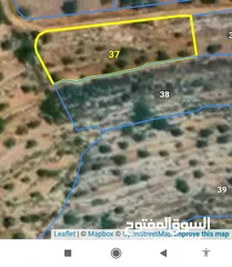  1 اراضي مزارع النوباني