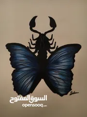  2 رسمه (A4) فراشه + عقرب