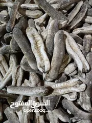  1 ‏ من سيرلانكا Seafood