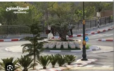  3 أرض للبيع سعر لقطة .شارع دير بحة .أرض تجارية