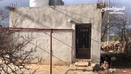  1 مزرعه وارض