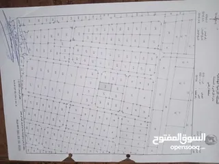  5 ارض للبيع في المفرق من المالك مباشره بدوان اية عمولات واصل جميع الخدمات(شارع مُعبد،ماء،كهرباء)