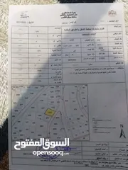  3 بيت للبيع موقع ممتاز