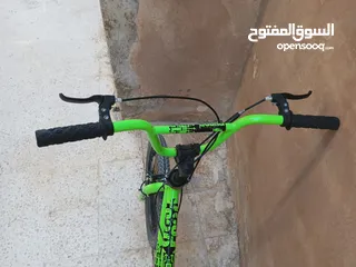  1 بسكليت امريكي فري سايز
