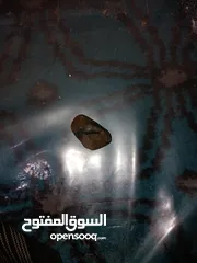  5 عقيق واحجار كريمه