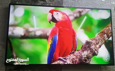  2 شاشه65ميديا سمارت ندرويد فريلميس جديدبكرتون ستعمل كم شهر