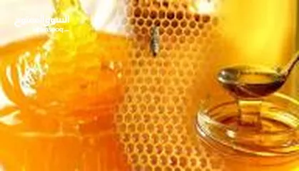  9 عسل طبيعي من المنحله للعلبه شرط الفحص اذا مغشوش يرجع