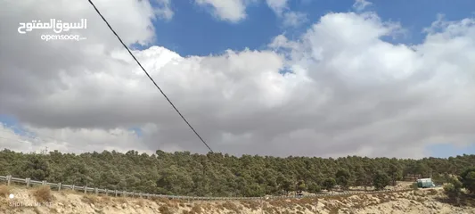  4 من المالك مباشره قطعه ارض 3500م في جرش ام قنطره (المحمر