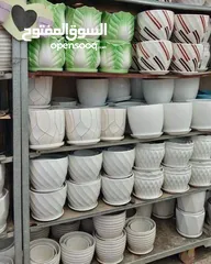  26 جميع الاشجار المثمرة والزينه  تنسيق وزراعة الحدائق الخارجيه والداخليه  صيانة الحدائق وتشكيل الأشجار