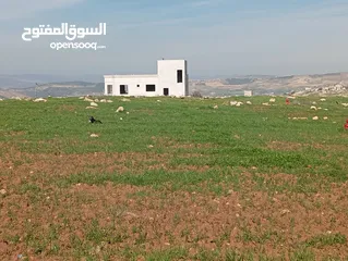  2 ارض حد الجبهة   تحت مدارس بناة الغد