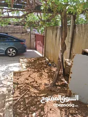  7 عمارة للبيع مكونه من 4 طوابق