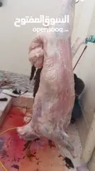  3 بسم الله الرحمن الرحيم جزار ذبح اضاحي