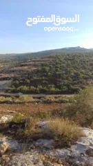  17 ارض على طريق بلعا دير الغصون قبل مفرق اكتابا