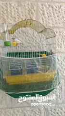  2 كناري 3 فحوله صوت نار  مع جميع اغراضهم