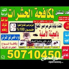  4 مكافحة حشرات والقوارض لجميع مناطق  الكويت