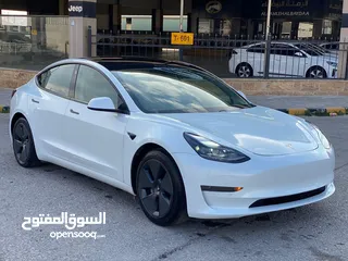  29 Tesla Model 3 Long Range / Standard Plus 2019/2021/2023