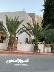  9 بيت في مرج الحمام بسعر مغري عباره عن عماره خاصه 3 طوابق