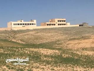  4 للبيع  3 قطع في النهضه محافظة العاصمه اراضي جنوب عمان مجموع مساحة القطع 50 دونم