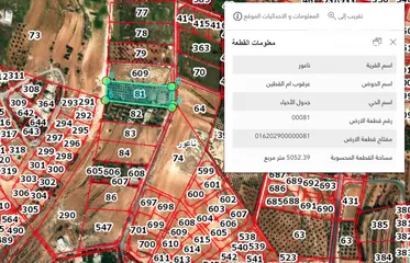  1 ارض للبيع 5دونم بمنطقة ناعور- ام القطين