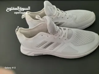  17 شروة احذيه  البيع كامل الكميه 30 حبه