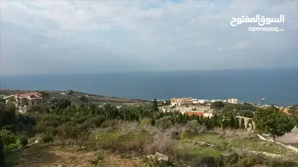  1 Land for Sale Berbara Jbeil ,area 1572Sqm