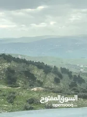  8 ارض للبيع في جرش مشروع عنيبه 17قطعة 3500متر بقوشان مستقل واصل الخدمات كامله اطلاله بنوراما مميزه جدا