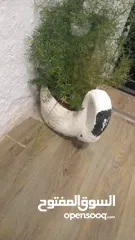  6 مجموعة اغراض للبيع