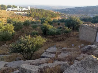  9 قطعة ارض مميزة للبيع في جرش ثغرة عصفور