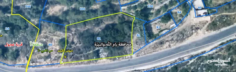  4 عجول قطعة ارض 811 متر كوشان طابو مستقل سلطة أ