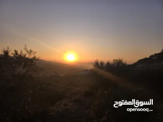  1 ارض للبيع اجنسنيا