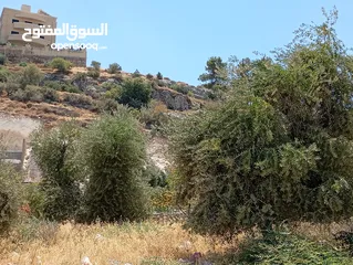  18 ارض مميزة مطلة ابو السوس غرب عمان عدة قطع في المنطقة.