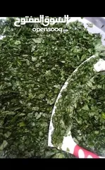  3 لتواصي ملوخيه ملقطه مغسوله ومفرومه على اليد ولف دوالي باسعار مناسبه