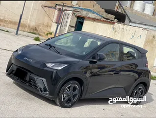  2 BYD سيجال 2024