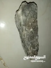  3 حجر غريبه من يشتريها