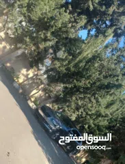  13 سكودا سوبيرب 4/4 280 حصان بانوراما اقتصادي جدا نضام الاستطفاف الذاتي 4 وضعيا قياده ممري كراسي صاروخ