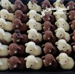  1 شكولاته بلجيكيه