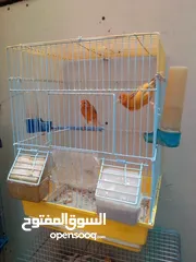  1 كنارات للبيع جاهزه