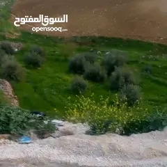  3 قطعة أرض مميزة للبيع في الظهير – حوض الدمينة