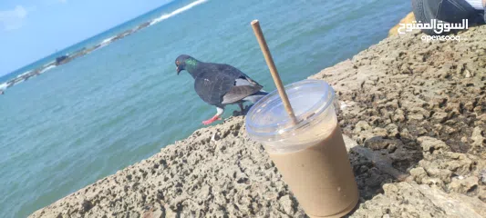  2 مكتب للايجار